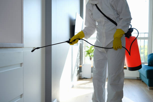 Best Commercial Mold Removal  in Paia, HI